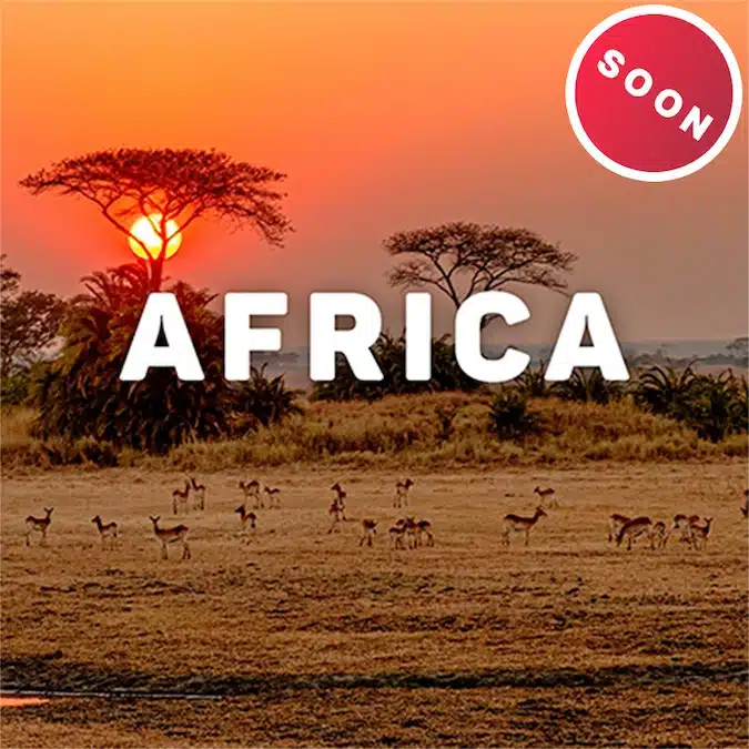Musio Instrument Collection - World Adventure Series Africa