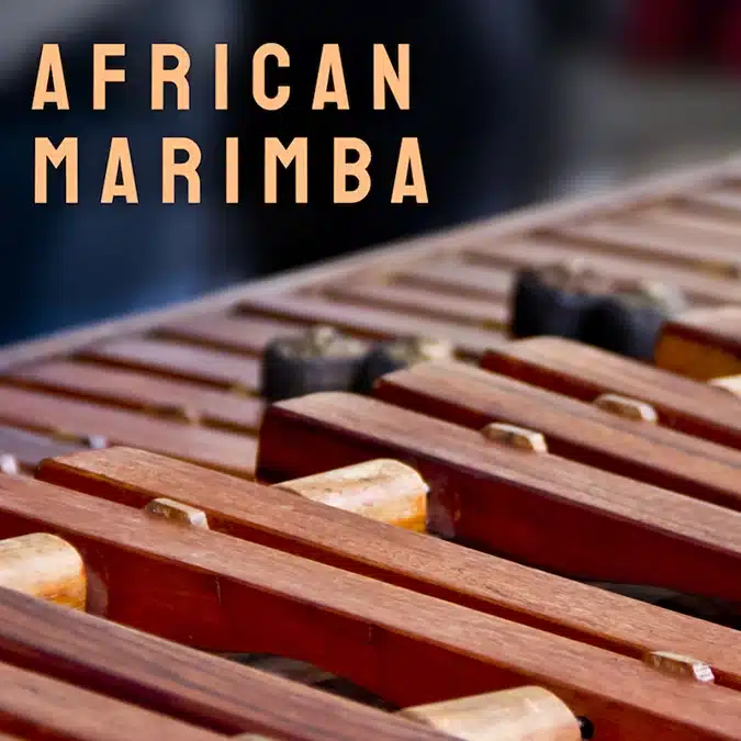 Musio Instrument Collection - African Marimba