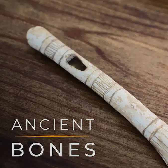 Musio Instrument Collection - Ancient Bones