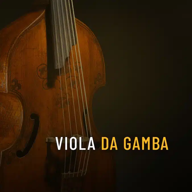 Musio Instrument Collection - Viola Da Gamba